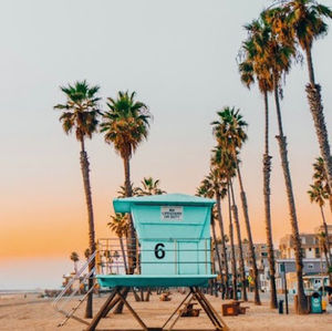 Meet your Posher, Nesya